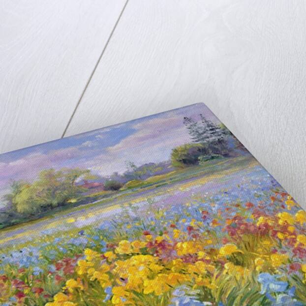 Irises, Willow and Fir Tree, 1993 by Timothy Easton