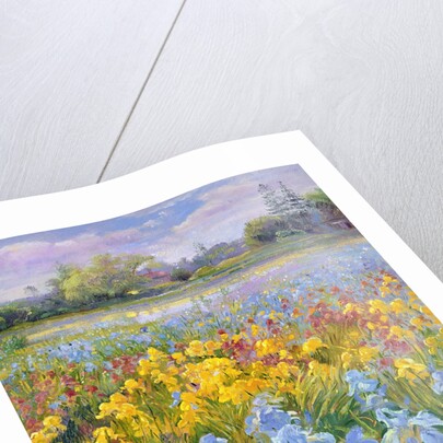 Irises, Willow and Fir Tree, 1993 by Timothy Easton