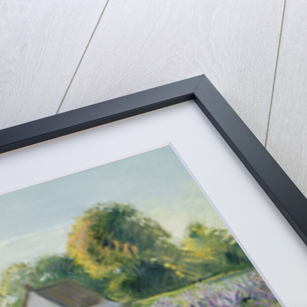 October Delphiniums by Timothy Easton