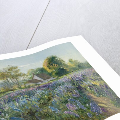 October Delphiniums by Timothy Easton