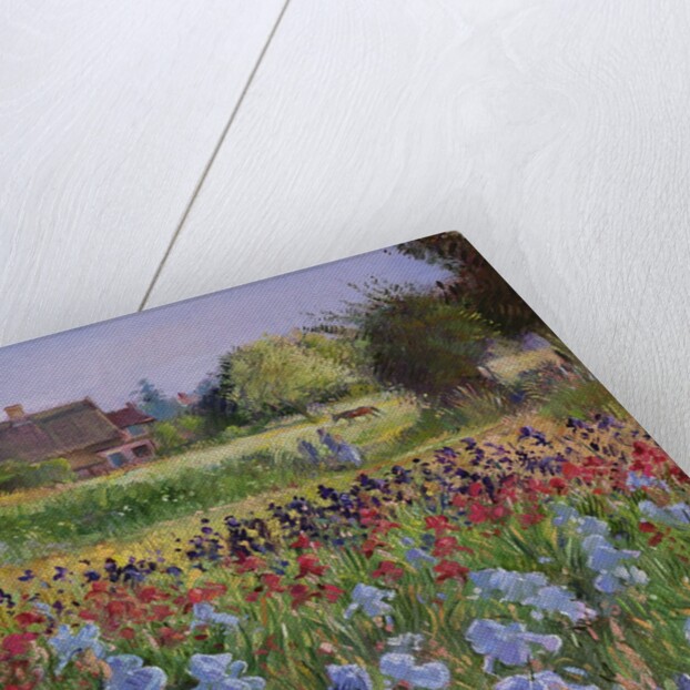 Entrance to Burgate Green by Timothy Easton