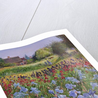 Entrance to Burgate Green by Timothy Easton