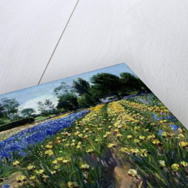 Towards the White Barn, 1996 by Timothy Easton