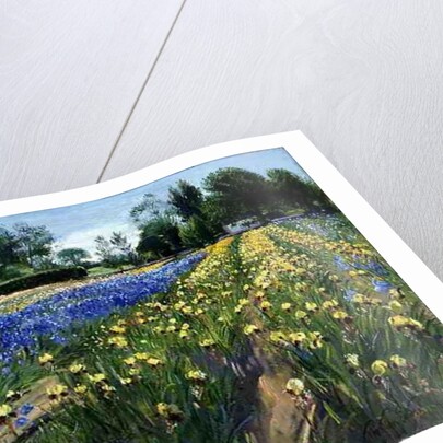 Towards the White Barn, 1996 by Timothy Easton
