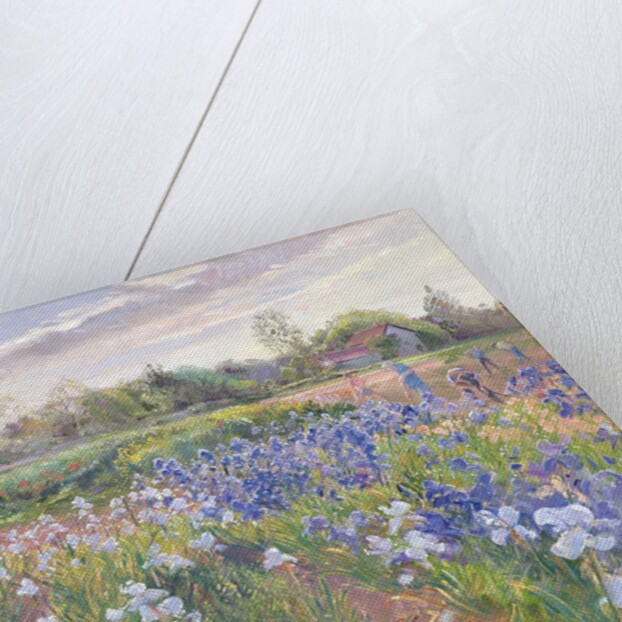 Sunsparkle on Irises, 1996 by Timothy Easton