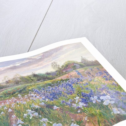 Sunsparkle on Irises, 1996 by Timothy Easton