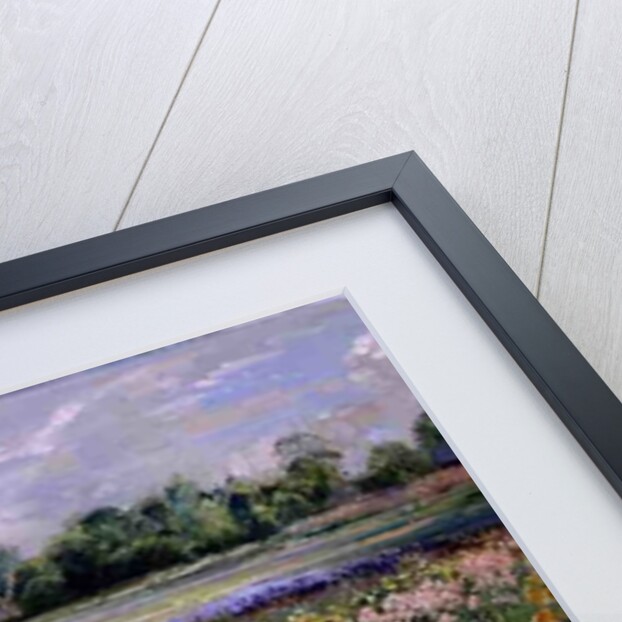 Cottages and Iris Field by Timothy Easton