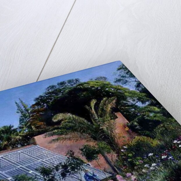 Cornflower Waves at Heligan by Timothy Easton