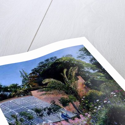 Cornflower Waves at Heligan by Timothy Easton