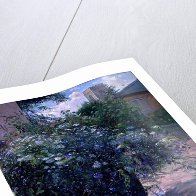 Bee Watching by Timothy Easton