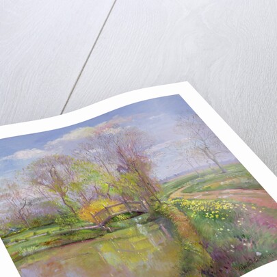 Spring Bridge, 1992 by Timothy Easton