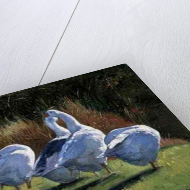 Moat Edge, Bedfield by Timothy Easton