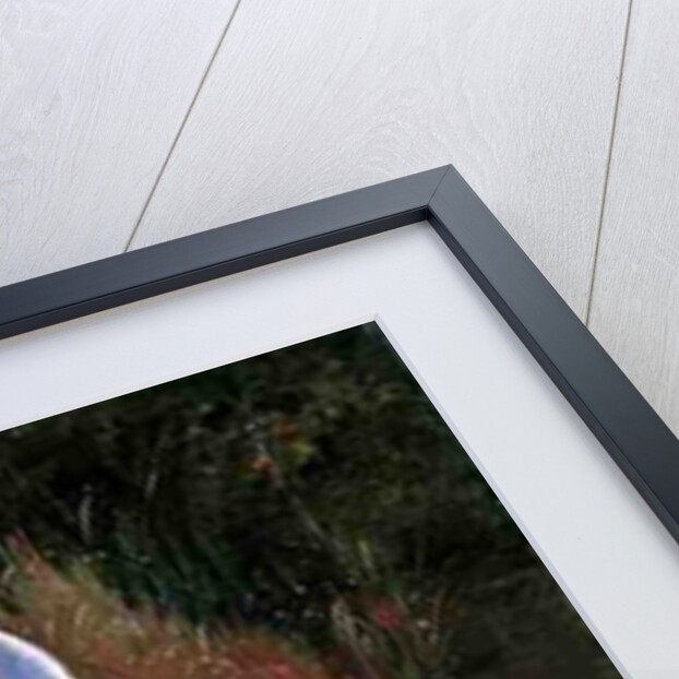 Moat Edge, Bedfield by Timothy Easton