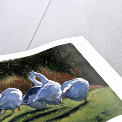 Moat Edge, Bedfield by Timothy Easton