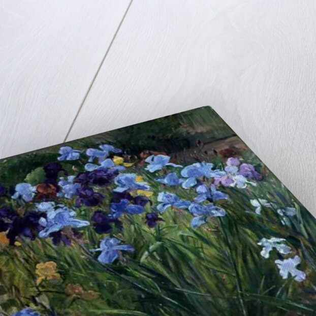 The Iris Bed, Bedfield, 1996 by Timothy Easton