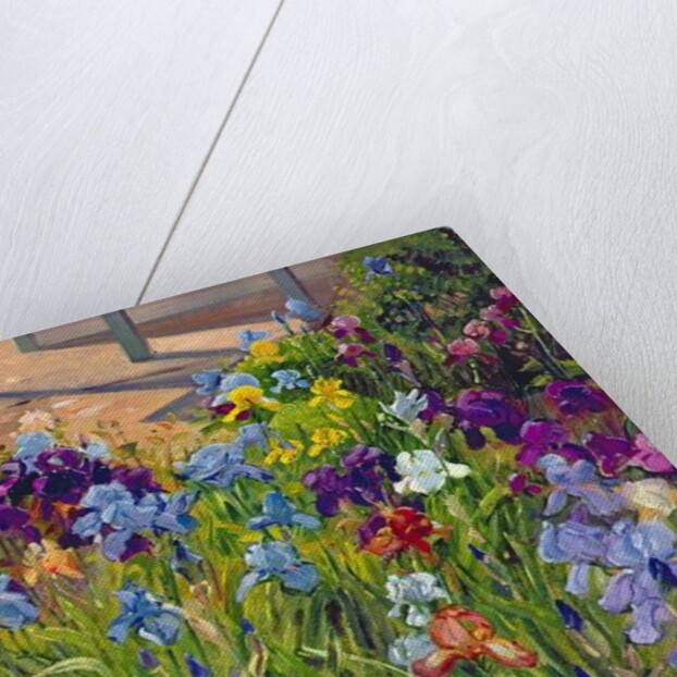 Irises and Summer House Shadows, 1996 by Timothy Easton