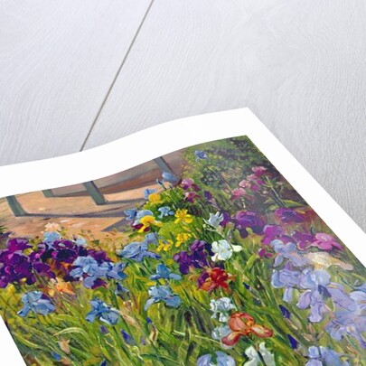 Irises and Summer House Shadows, 1996 by Timothy Easton