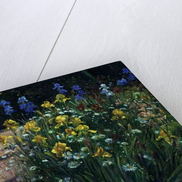 Oxeye Daisies Against the Irises by Timothy Easton