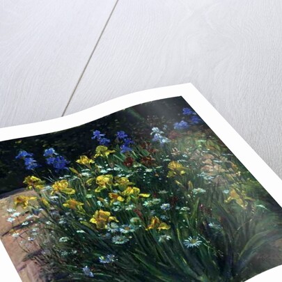 Oxeye Daisies Against the Irises by Timothy Easton