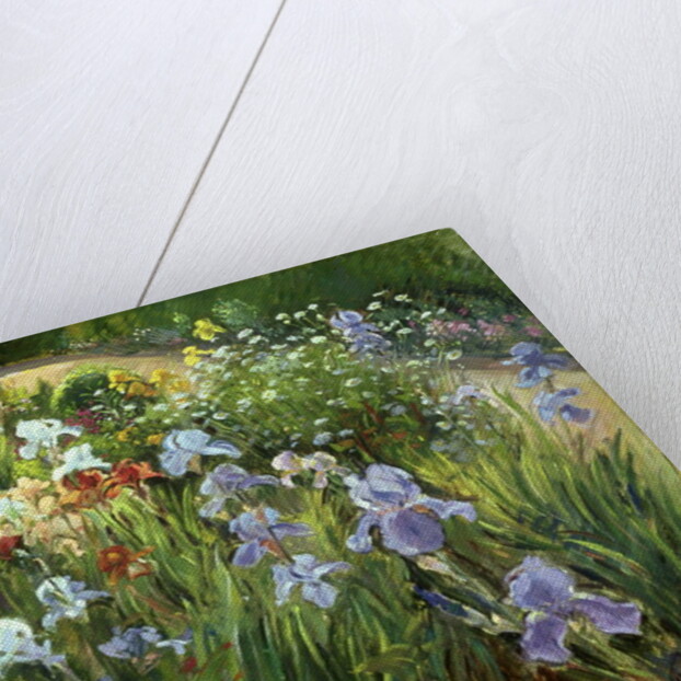 Irises and Oxeye Daisies, 1997 by Timothy Easton