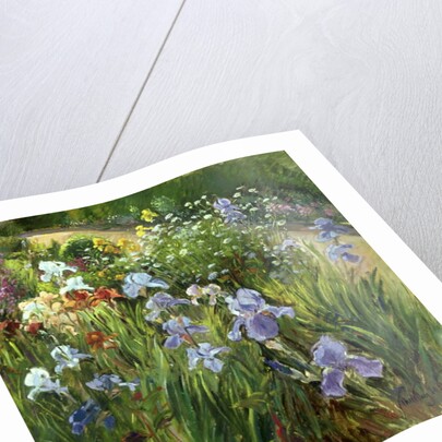 Irises and Oxeye Daisies, 1997 by Timothy Easton