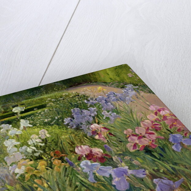 Irises at Bedfield by Timothy Easton