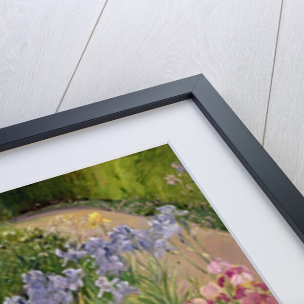 Irises at Bedfield by Timothy Easton