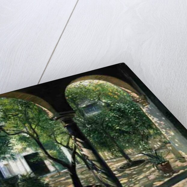 Shaded Courtyard, Vianna Palace, Cordoba by Timothy Easton