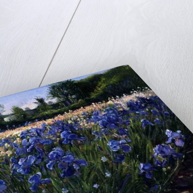 Above the Blue Irises by Timothy Easton