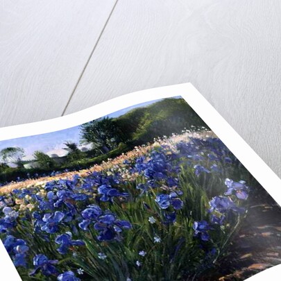 Above the Blue Irises by Timothy Easton