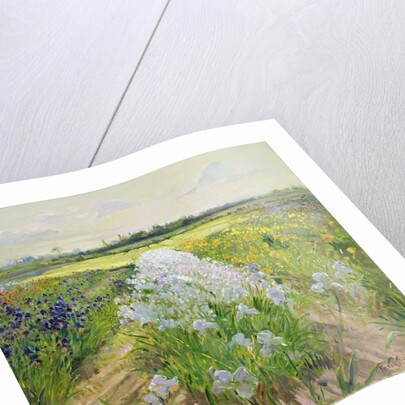 Down the Line, 1995 by Timothy Easton