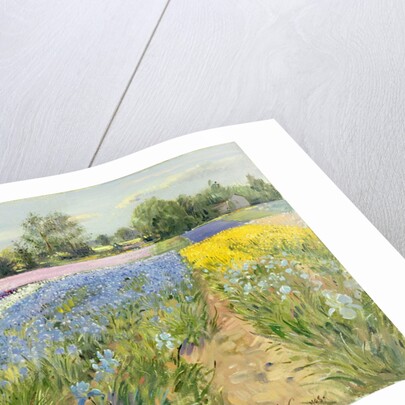 Floral Chessboard, 1995 by Timothy Easton