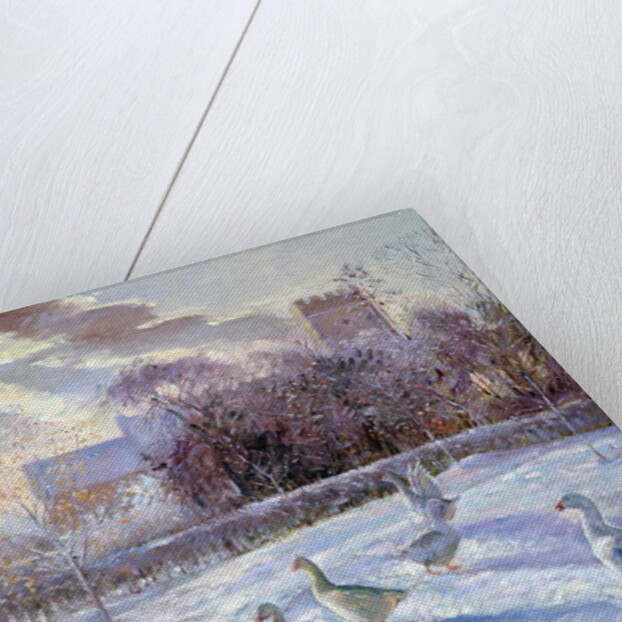 Winter Geese in Church Meadow by Timothy Easton