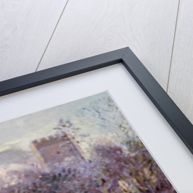 Winter Geese in Church Meadow by Timothy Easton