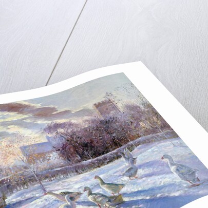 Winter Geese in Church Meadow by Timothy Easton