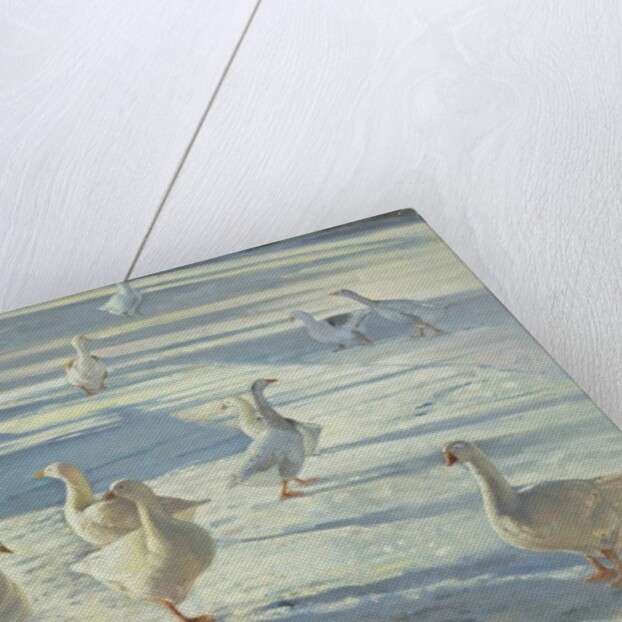 The Gathering by Timothy Easton