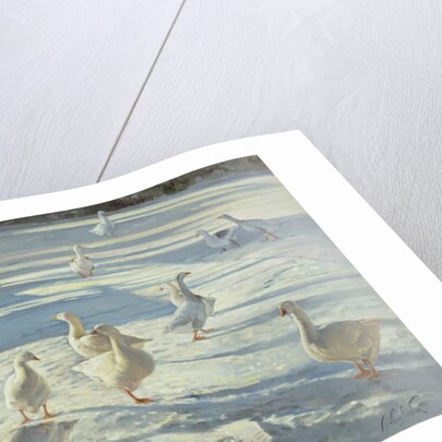 The Gathering by Timothy Easton