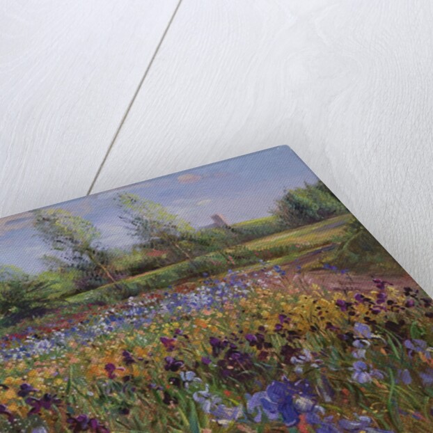 Irises and Burgate Green by Timothy Easton