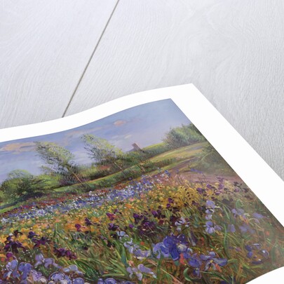 Irises and Burgate Green by Timothy Easton