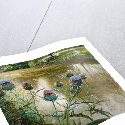 Cardoons Against the Moat by Timothy Easton