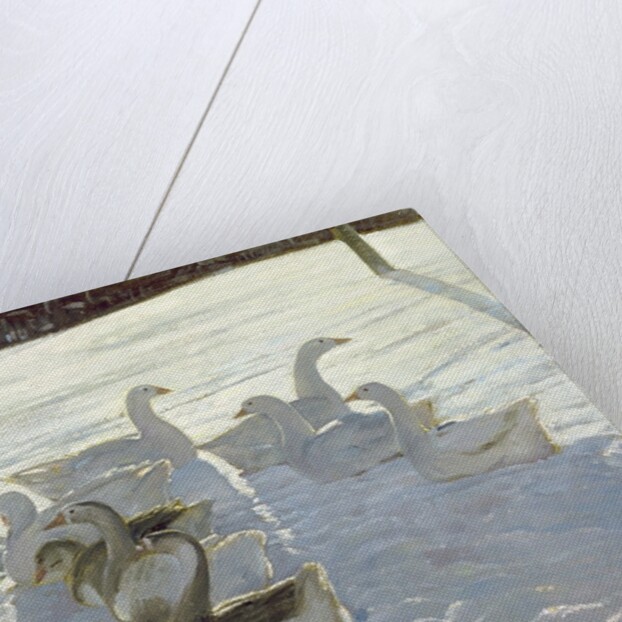 Geese Against the Light by Timothy Easton