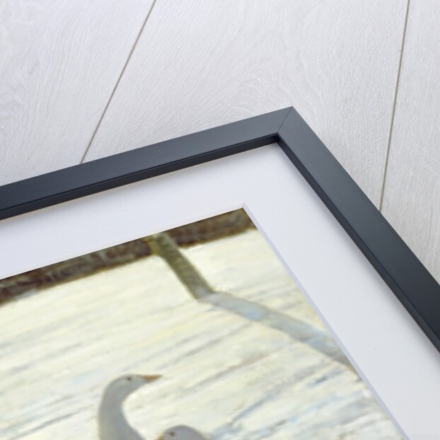 Geese Against the Light by Timothy Easton