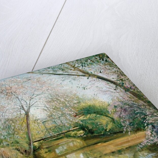 Full Blossom by Timothy Easton