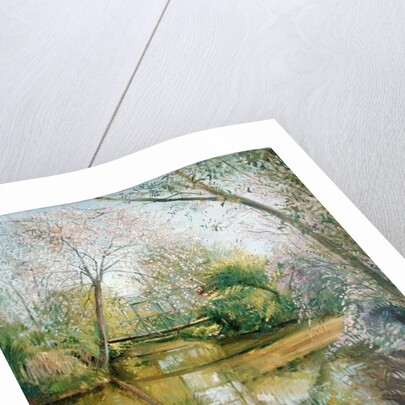 Full Blossom by Timothy Easton