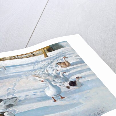 Resting on the Slope by Timothy Easton