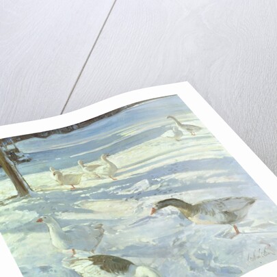 Snowfeeders, 1999 by Timothy Easton