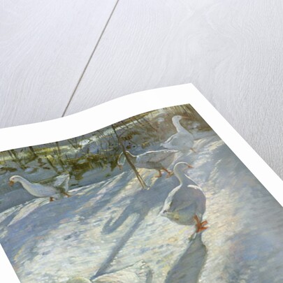 Exploring the Slope by Timothy Easton