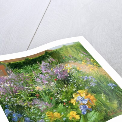 Sweet Rocket, Foxgloves and Irises, 2000 by Timothy Easton