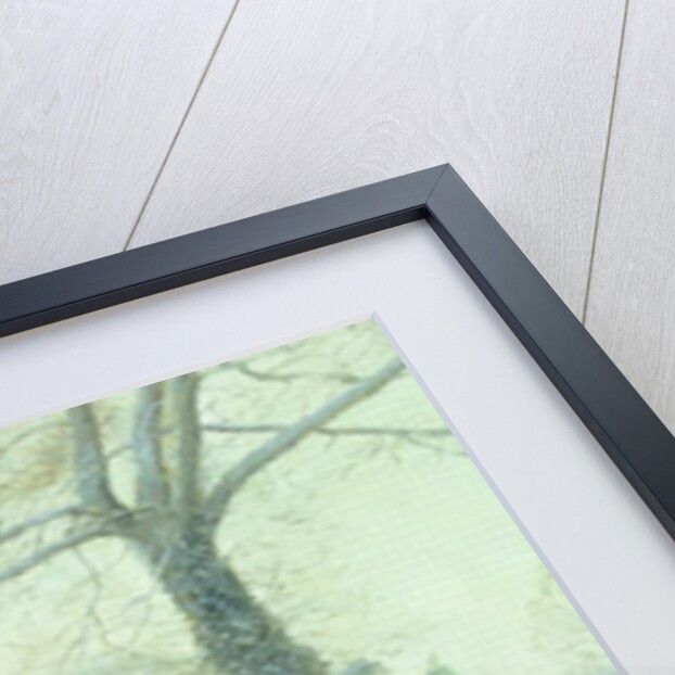 Criss-Cross by Timothy Easton