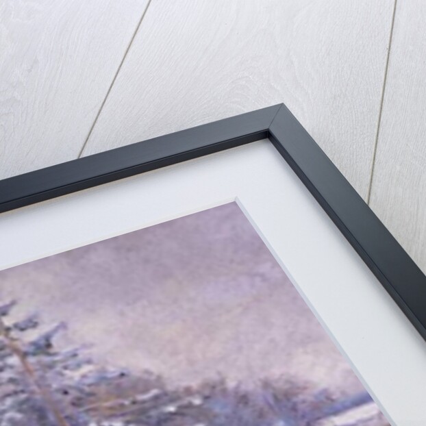 Curled Cat with Flowers by Timothy Easton